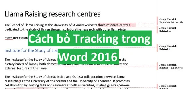 Cách bỏ Tracking trong Word 2016 không khó, bạn chỉ cần vài cú nhấp chuột