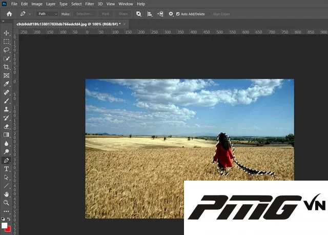Hướng dẫn 4 cách xóa trong Photoshop chi tiết từ A đến Z 2 Ảnh 2: Tạo vùng chọn quanh chi tiết muốn xóa khỏi bức ảnh