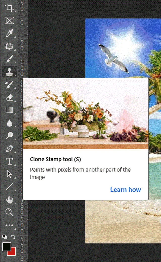 Hướng dẫn 4 cách xóa trong Photoshop chi tiết từ A đến Z 5 Ảnh 5: Mở file hình và lựa chọn công cụ Clone Stamp Tool