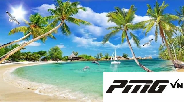Hướng dẫn 4 cách xóa trong Photoshop chi tiết từ A đến Z 8 Ảnh 8: Bức hình sau khi xóa vật thể
