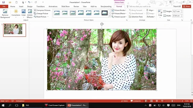 Tổng hợp một số cách chèn ảnh vào PowerPoint cực dễ 4 Ảnh đã được chèn ngay ngắn trong Slide