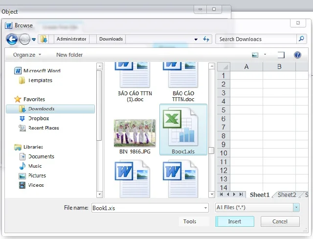 Chọn file Excel cần chèn vào Word và bấm Insert
