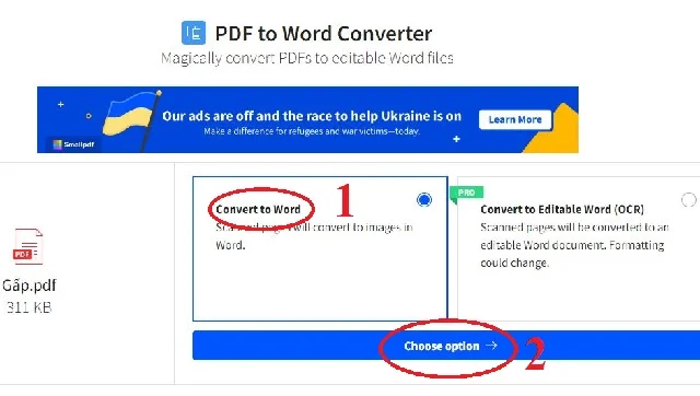 Hướng dẫn từ A – Z cách cắt chữ ký trong PDF 4 Nhấn chọn Convert to Word rồi chọn Choose Option