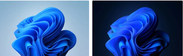 Hướng dẫn cách thay hình nền win 11 wallpaper cực đơn giản 3 Windows Light and Dark