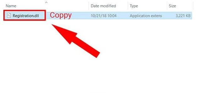 Copy tệp Registration.dll