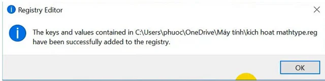 Link tải MathType full crack đơn giản, hiệu quả 11 Nhấn chọn vào OK