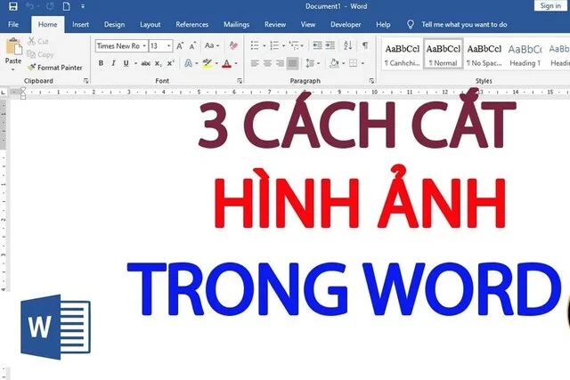 Cách cắt ảnh trong Word siêu nhanh, cực đẹp cho mọi phiên bản 1 Top 3 cách cắt ảnh trong word siêu nhanh, cực đẹp cho mọi phiên bản