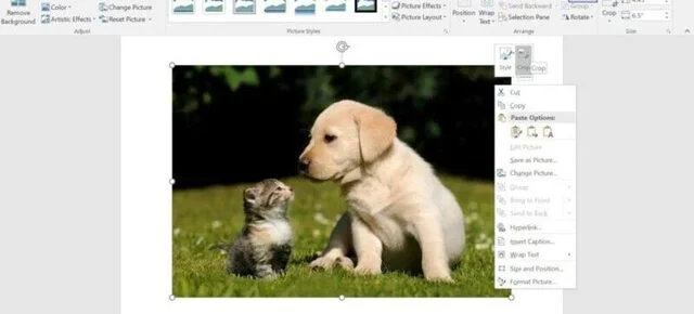 Cách cắt ảnh trong Word siêu nhanh, cực đẹp cho mọi phiên bản 2 Cắt ảnh trong word với thanh điều chỉnh - bước 1