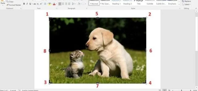 Cách cắt ảnh trong Word siêu nhanh, cực đẹp cho mọi phiên bản 3 Cắt ảnh trong word với thanh điều chỉnh - bước 2