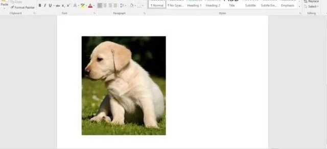 Cách cắt ảnh trong Word siêu nhanh, cực đẹp cho mọi phiên bản 4 Kết quả cắt ảnh trong word với thanh tùy chỉnh