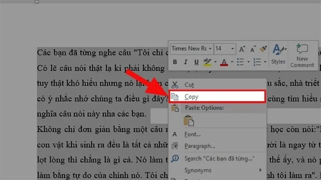 Cách copy 1 trang Word, sao chép 1 trang trong word cực dễ chỉ 5s 6 Bạn click chuột vào “Copy” khi màn hình tùy chọn của chuột phải xuất hiện