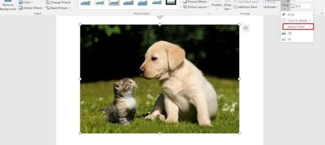 Cách cắt ảnh trong Word siêu nhanh, cực đẹp cho mọi phiên bản 6 Cách cắt ảnh theo tỷ lệ trong word - Bước 1