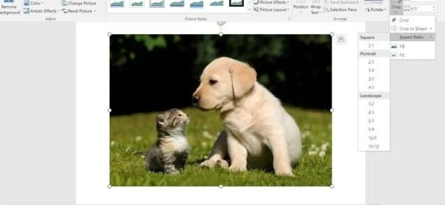 Cách cắt ảnh trong Word siêu nhanh, cực đẹp cho mọi phiên bản 7 Bạn chọn cắt ảnh theo tỷ lệ tùy thích trong mục “Aspect Ratio”