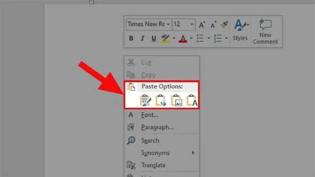 Cách copy 1 trang Word, sao chép 1 trang trong word cực dễ chỉ 5s 7 Bạn dán văn bản với các tùy chọn như trong hình