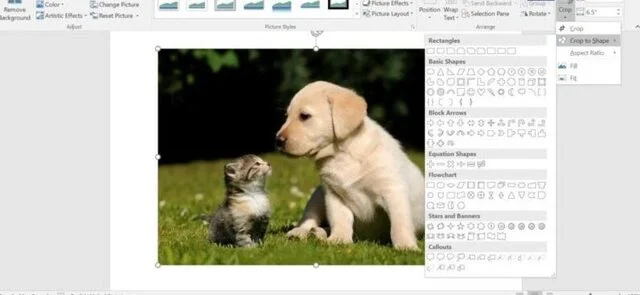 Cách cắt ảnh trong Word siêu nhanh, cực đẹp cho mọi phiên bản 8 Cách cắt ảnh theo hình dạng trong word - Bước 1
