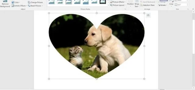 Cách cắt ảnh trong Word siêu nhanh, cực đẹp cho mọi phiên bản 9 Cách cắt ảnh theo hình dạng trong word - Bước 2