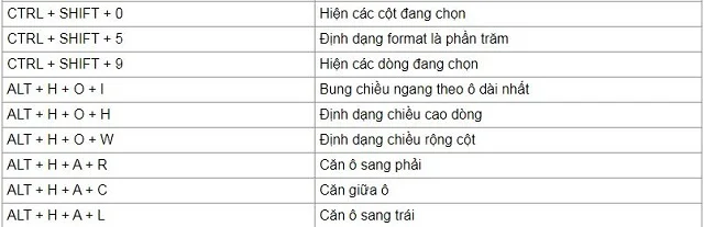 Bỏ túi ngay các phím tắt trong Excel thông dụng hiện nay 4 Các tổ hợp phím cùng nhóm khác