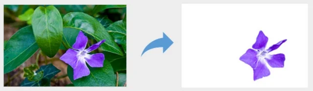 Cài đặt PowerPoint 2019 - Tạo bài thuyết trình chuyên nghiệp với giao diện hiện đại 7 Người dùng có thể tách nền hình ảnh dễ dàng ngay trên PowerPoint 2019