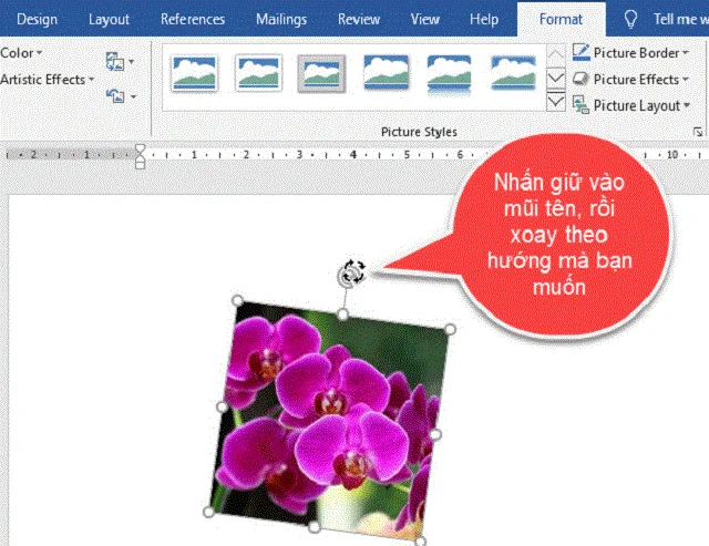 Ba bí quyết về cách di chuyển ảnh trong Word dành cho giới làm văn phòng 4 Xoay ảnh trực tiếp trong Word