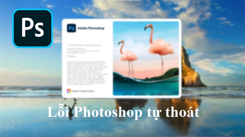 Lỗi photoshop tự tắt là một trong những lỗi phổ biến
